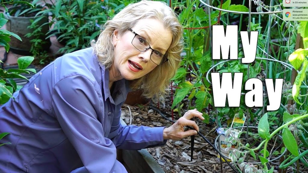 How I Water | Rain Capture, Hoses, Filters, Ollas, Dripline | Garden Vlog