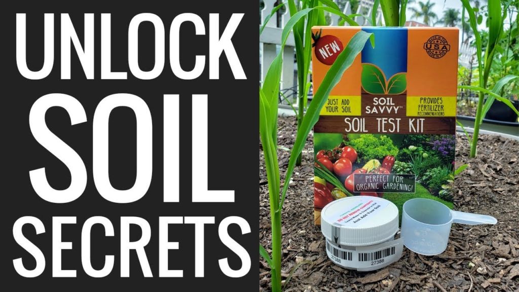 Why Soil Testing is So Important For Your Garden's Success