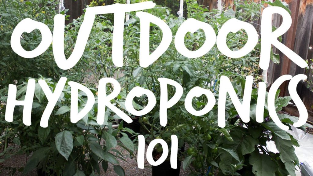 Getting Started With Outdoor Hydroponics