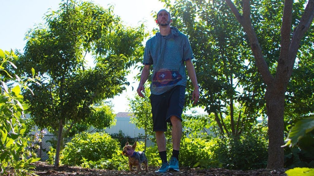 James Prigioni: A Different Way To Garden, I'm Never Looking Back And Neither Will You… A Different Way To Garden, I'm Never Looking Back And Neither Will You...