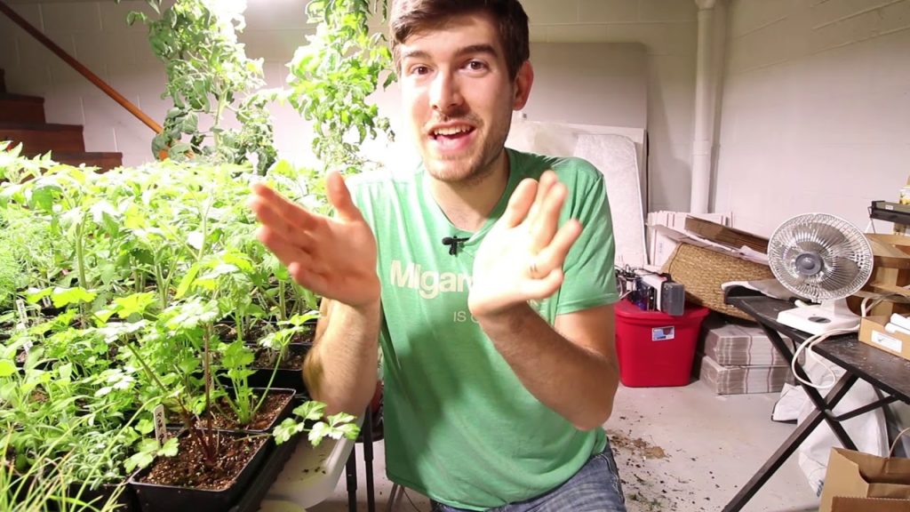 We Grew The Rarest Tomato Ever - The Giant Crimson is BACK!