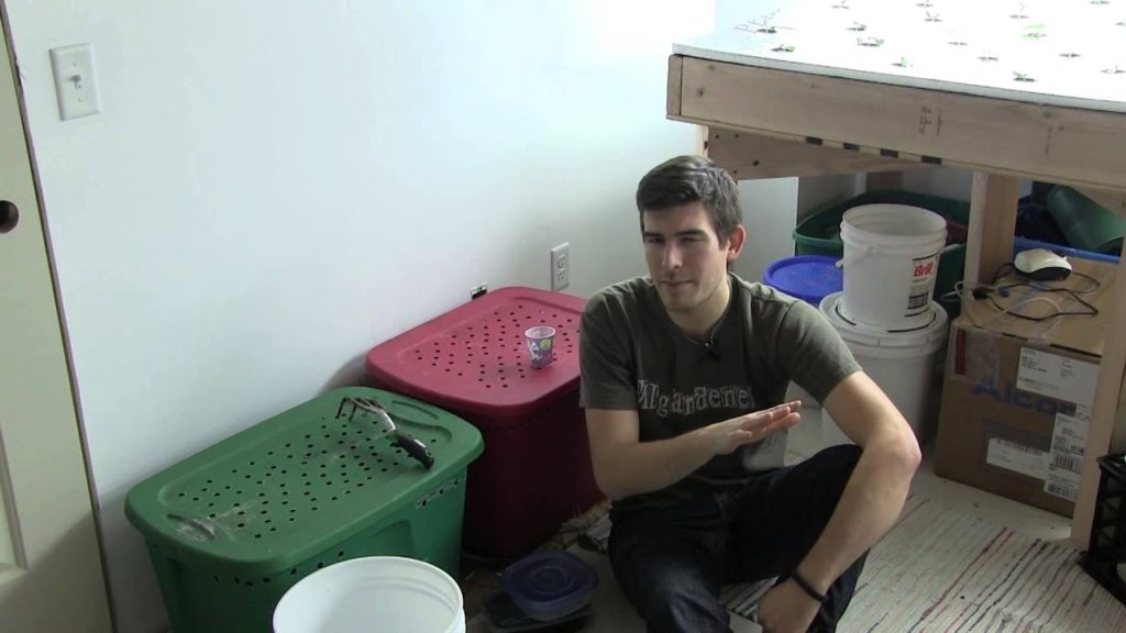 How to Divide A Worm Bin - Get More Worms For FREE