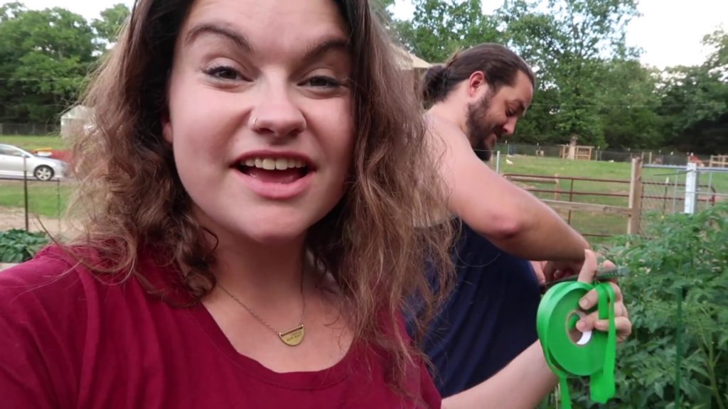 Giving Tomato Plants a Little Lift  June 2017