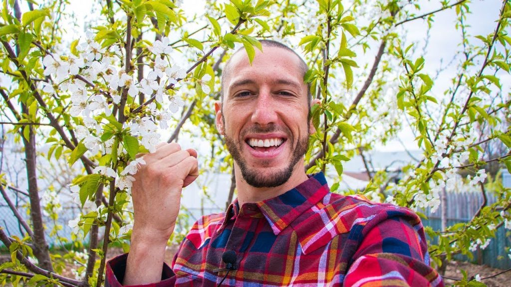 James Prigioni: this kind of GARDEN will feed you for LIFE this kind of GARDEN will feed you for LIFE
