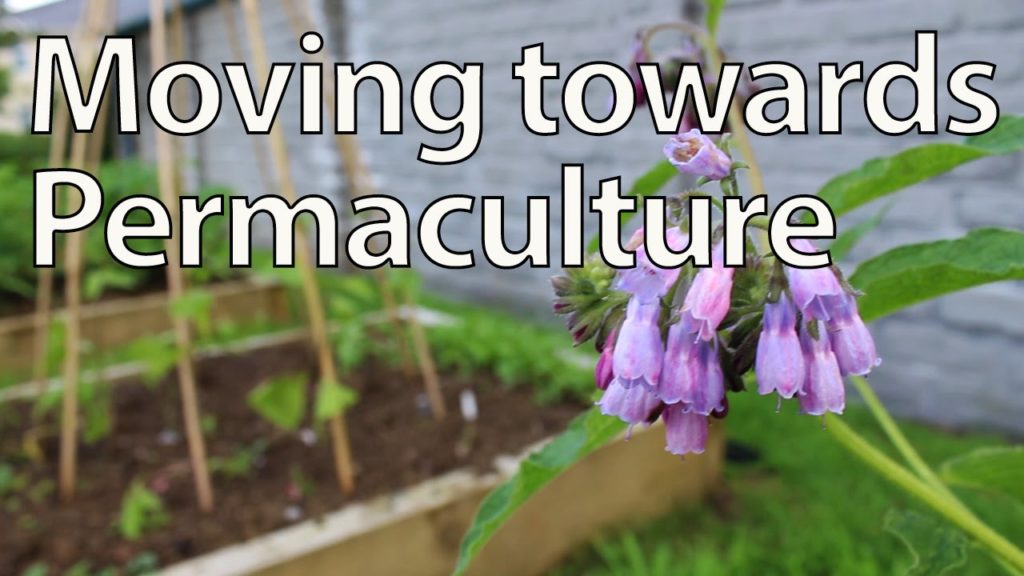 Huw Richards: Transitioning Towards Permaculture – What and Why? Transitioning Towards Permaculture - What and Why?