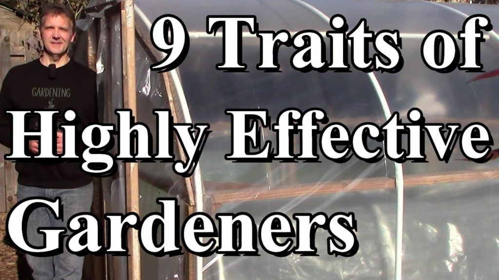 One Yard Revolution: 9 Traits of Highly Effective Gardeners 9 Traits of Highly Effective Gardeners