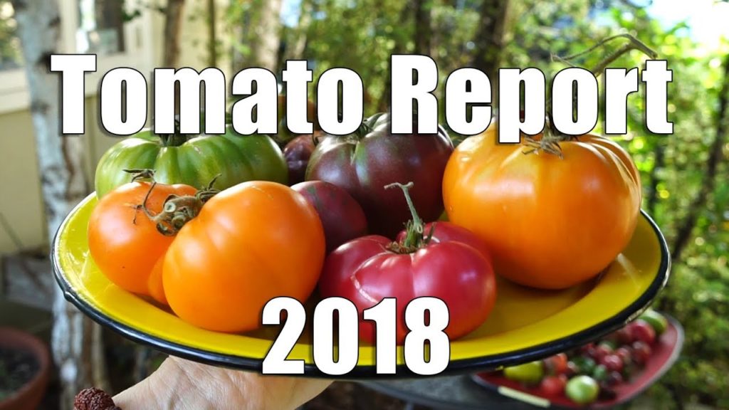 Kaye Kittrell: Tomato Report 2018 | Timeline, Results, Taste Test Tomato Report 2018 | Timeline, Results, Taste Test