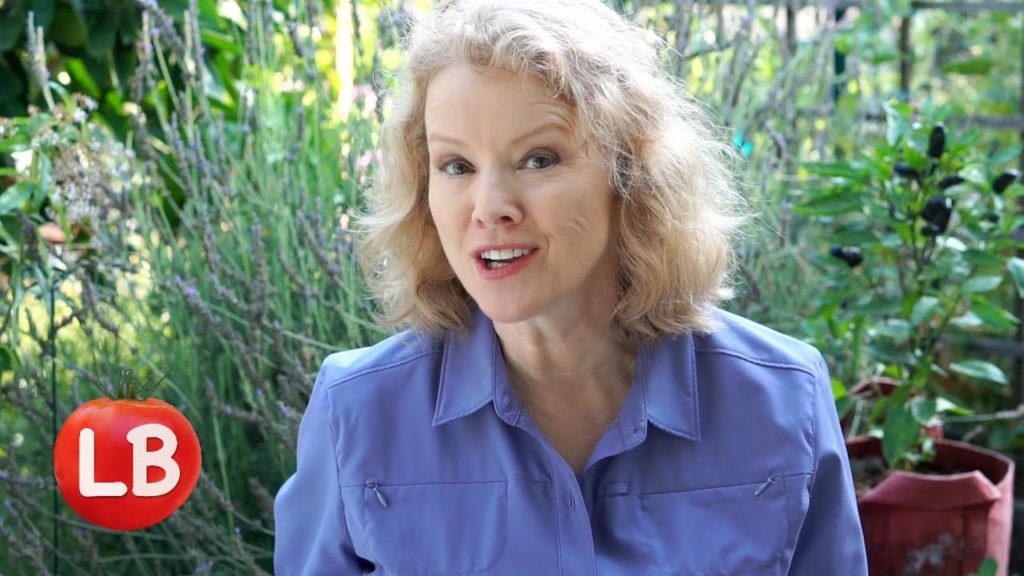 Biodiversity - What Is It, Why Is It Important, How Do We Get It | Late Bloomer | Episode 13