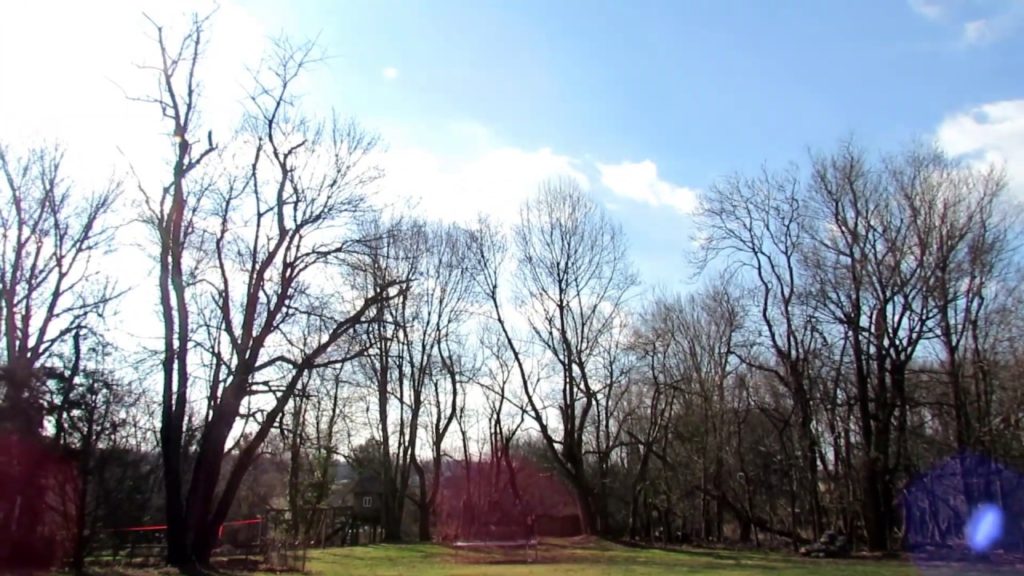 Where & How to Place Your Vegetable Garden Beds: Maximizing the Sun on Your Homestead