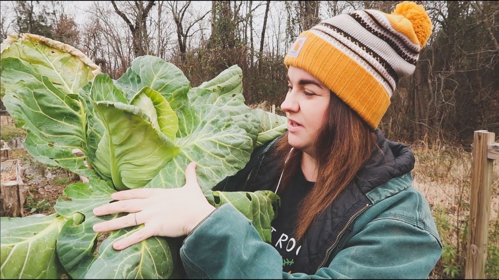 Garden to Table Brassica Harvest | VLOG | Roots and Refuge Farm