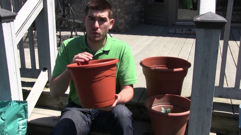 Complete Starter Guide for Successful Patio Gardening