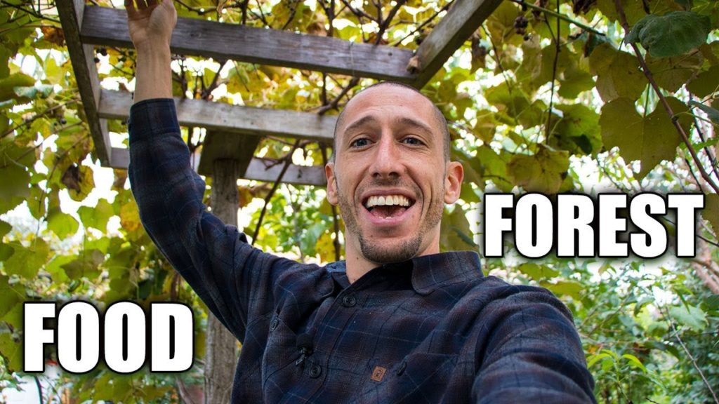 Full FOOD FOREST Garden Tour