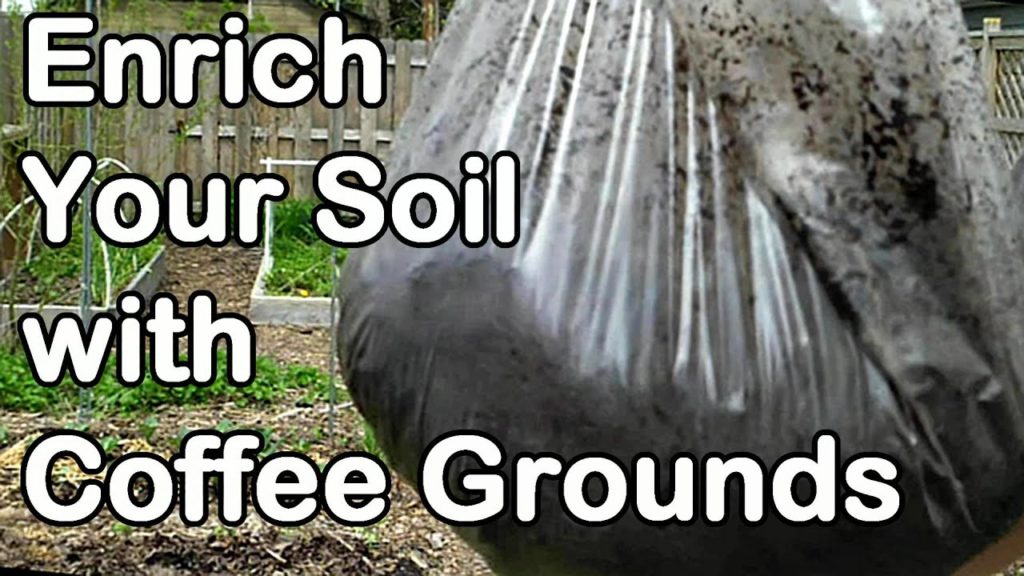 One Yard Revolution: Enrich Your Garden With Used Coffee Grounds and my 2013 Expenses Enrich Your Garden With Used Coffee Grounds and my 2013 Expenses