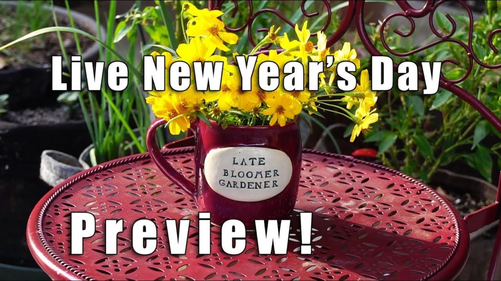 Kaye Kittrell: PREVIEW | Going LIVE New Year's Day! | Kaye Kittrell PREVIEW | Going LIVE New Year's Day! | Kaye Kittrell