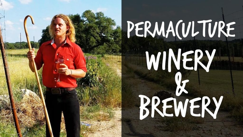 Epic Gardening: Crazy "Permaculture Vineyard" & Farm at Jester King Brewery Deep in The Texas Hill Country Crazy "Permaculture Vineyard" & Farm at Jester King Brewery Deep in The Texas Hill Country