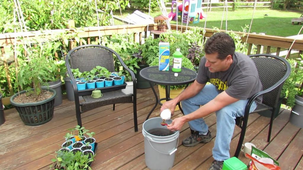 Gary Pilarchik: How to Use & What is Water Soluble Garden Fertilizer: My Organic Mix – TRG 2014 How to Use & What is Water Soluble Garden Fertilizer: My Organic Mix - TRG 2014