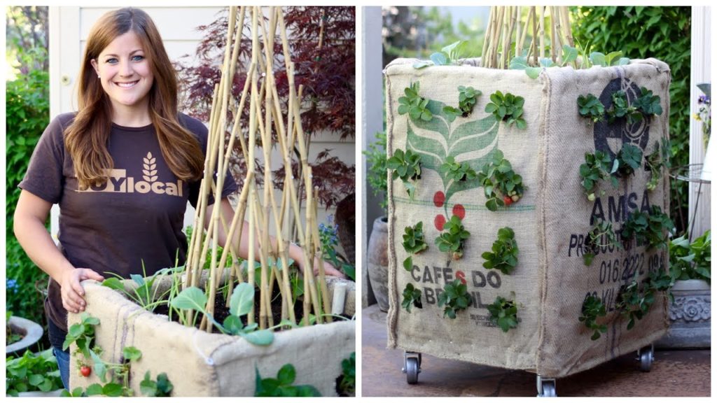 Garden Answer: DIY Grow Box (Vertical Gardening) DIY Grow Box (Vertical Gardening)