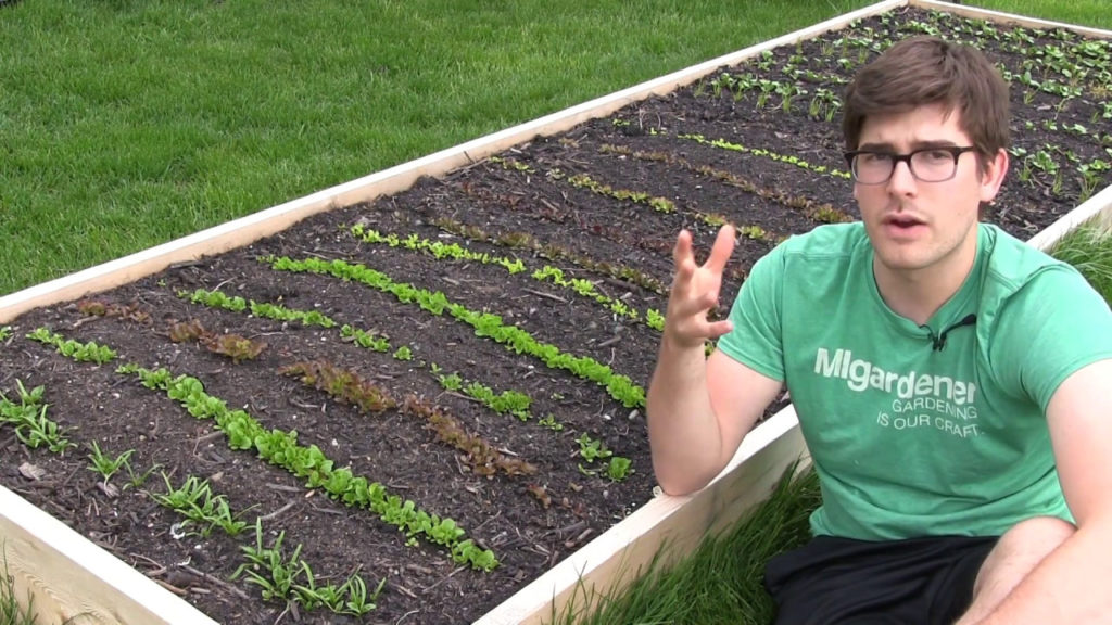 MIgardener: Grow 500% MORE Vegetables in 5 Times LESS Space! Grow 500% MORE Vegetables in 5 Times LESS Space!