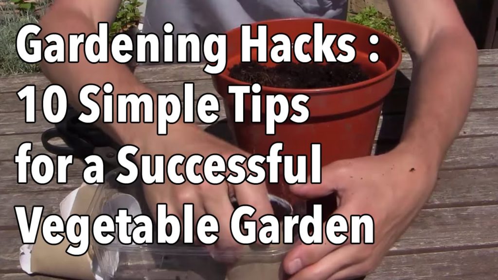Gardening Hacks – 10 Simple Tips for a Successful Vegetable Garden Gardening Hacks - 10 Simple Tips for a Successful Vegetable Garden