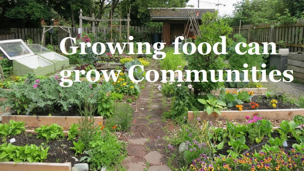 How Growing Food can Grow Communities