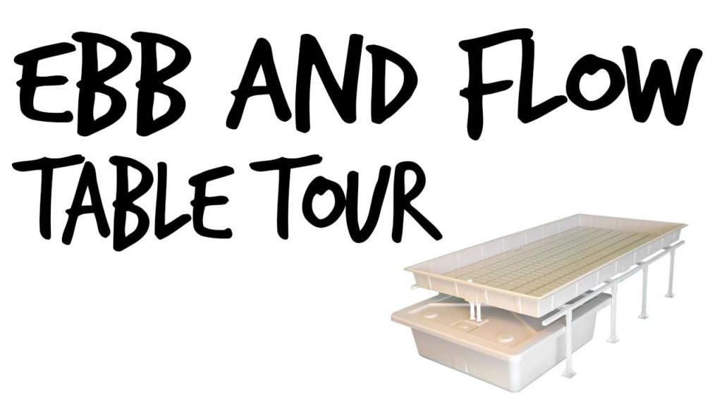 Tour Of My Ebb and Flow Hydroponic System