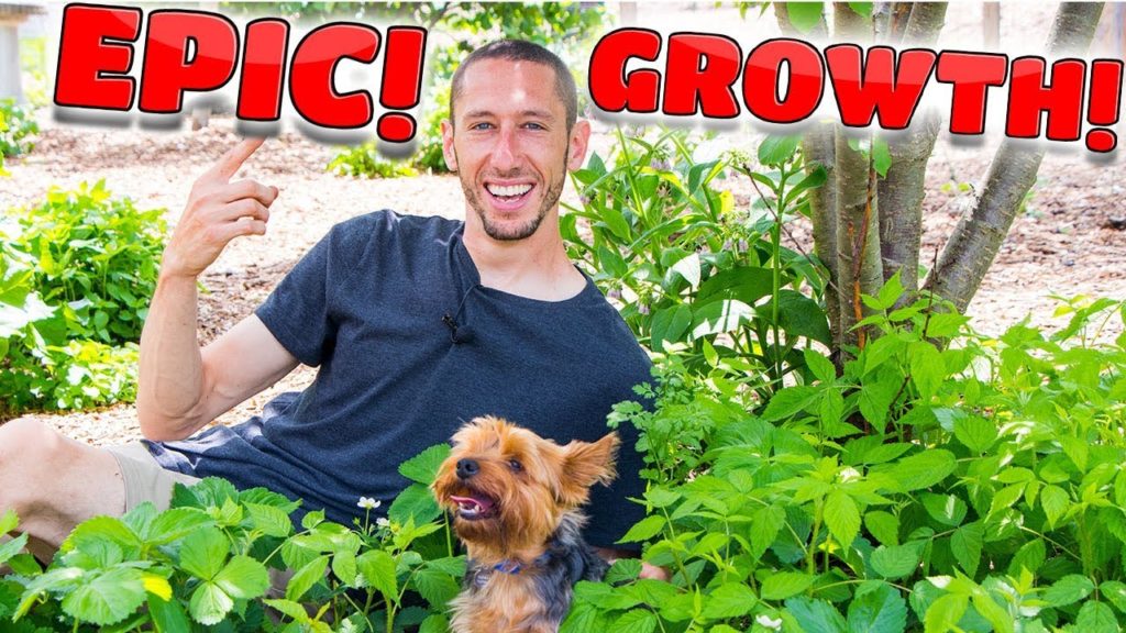 James Prigioni: you WONT BELIEVE the GROWTH! you WONT BELIEVE the GROWTH!