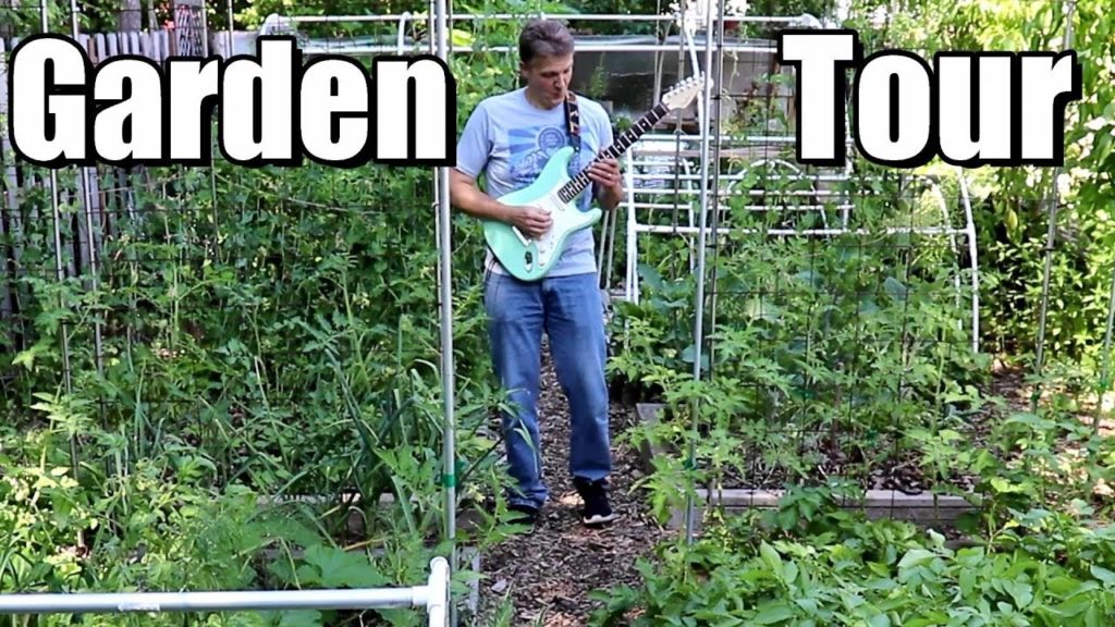 Perennial Fruit Tour (trees, berries, grapes) & Patrick Plays Guitar