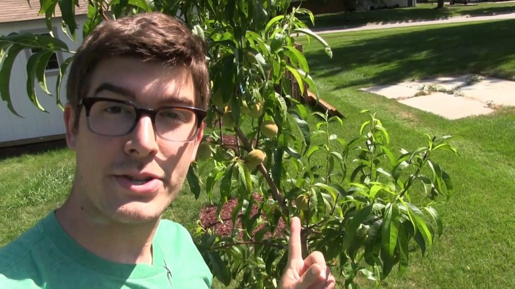 Complete July Garden Tour In Under 5 Minutes