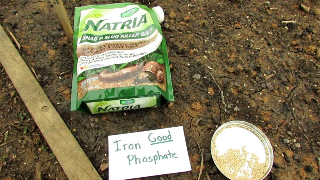 60 Seconds or Sow: Killing Snails and Slugs with Iron Phosphate - The Rusted Garden 2013