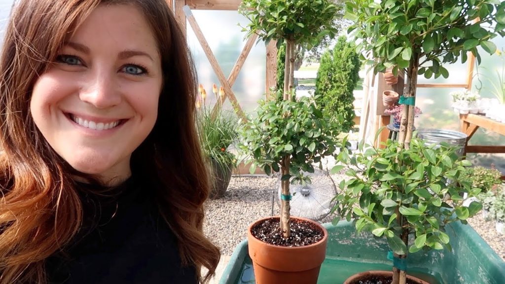 Garden Answer: Garden Maintenance Day Part 2! 🌿💚// Garden Answer Garden Maintenance Day Part 2! 🌿💚// Garden Answer