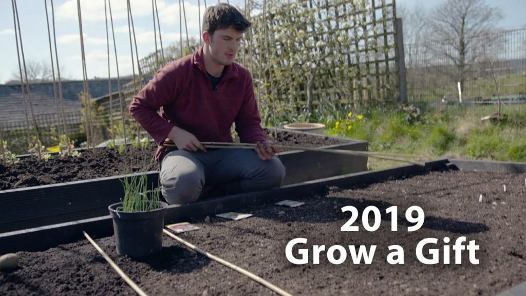 We Should All Grow a Little Extra - Grow a Gift 2019