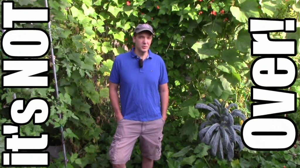 One Yard Revolution: The End of Summer is NOT the End of the Garden! (Preparing for Fall/Winter Garden) The End of Summer is NOT the End of the Garden! (Preparing for Fall/Winter Garden)