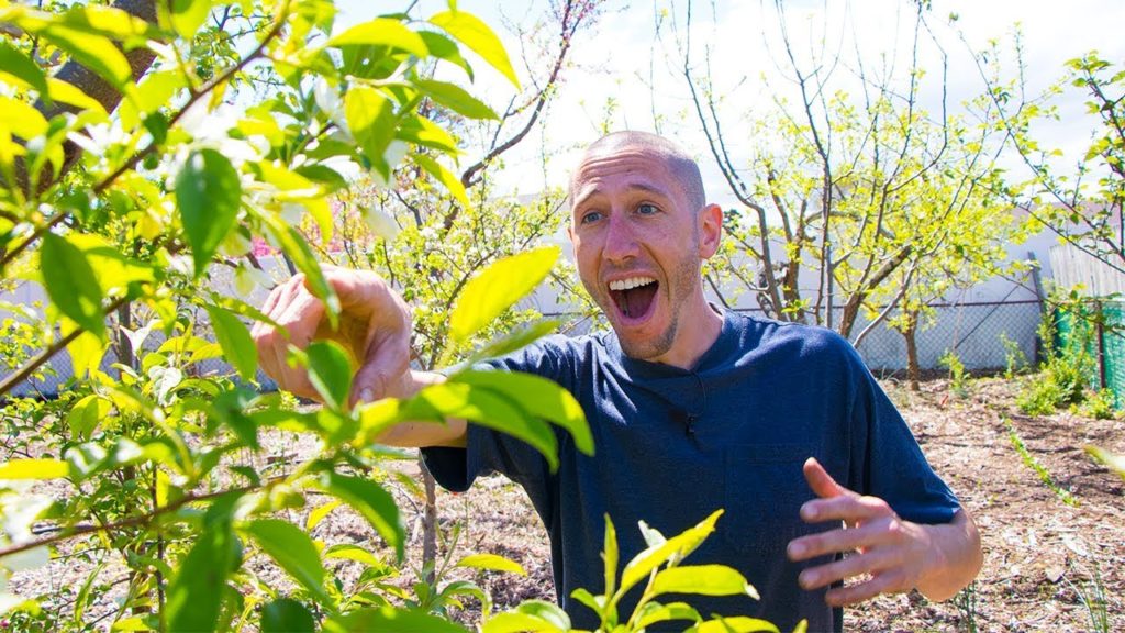 James Prigioni: A Garden Surprise You Have to See to Believe! A Garden Surprise You Have to See to Believe!