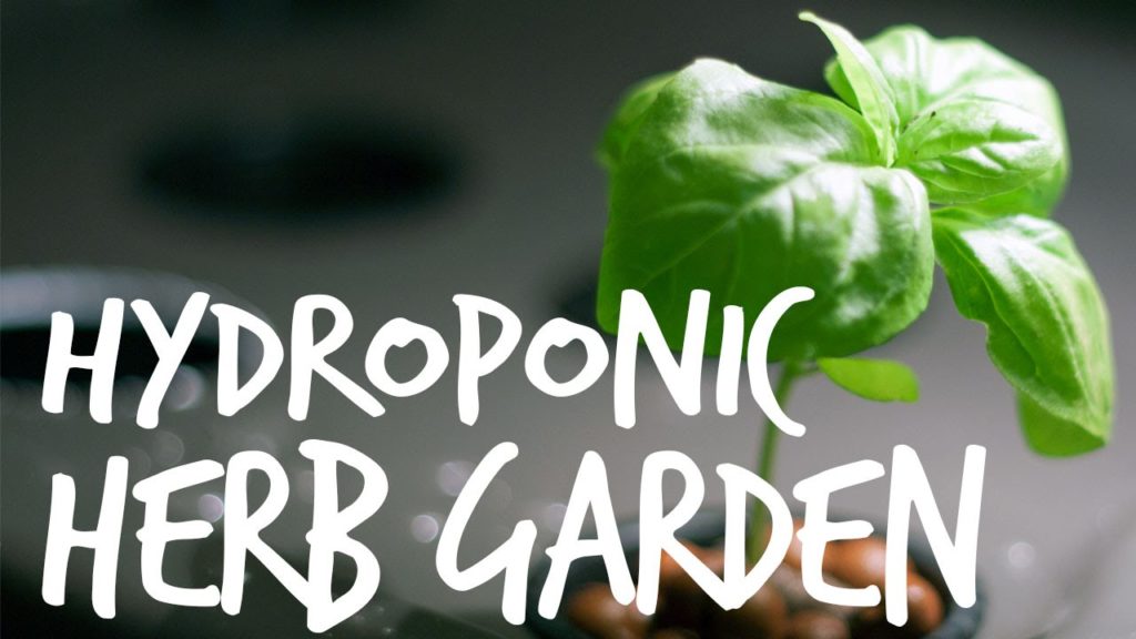 Epic Gardening: Hydroponic Herb Garden Guide Hydroponic Herb Garden Guide