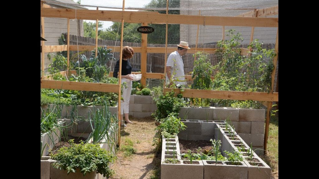 Cinder Block Vegetable Garden | Christine and Richard Alcorta |Central Texas Gardener