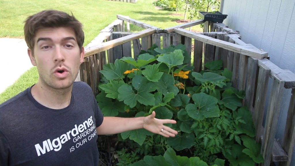 A look at a Compost Pile Permaculture Garden and Why it ROCKS!