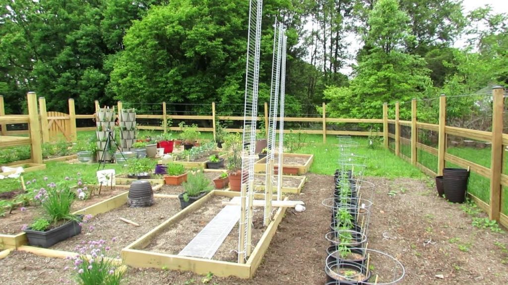 Gary Pilarchik: How to Build An 8 Foot Garden Trellis for $15: Grow Your Melons, Beans & Cucumbers Vertically! How to Build An 8 Foot Garden Trellis for $15: Grow Your Melons, Beans & Cucumbers Vertically!