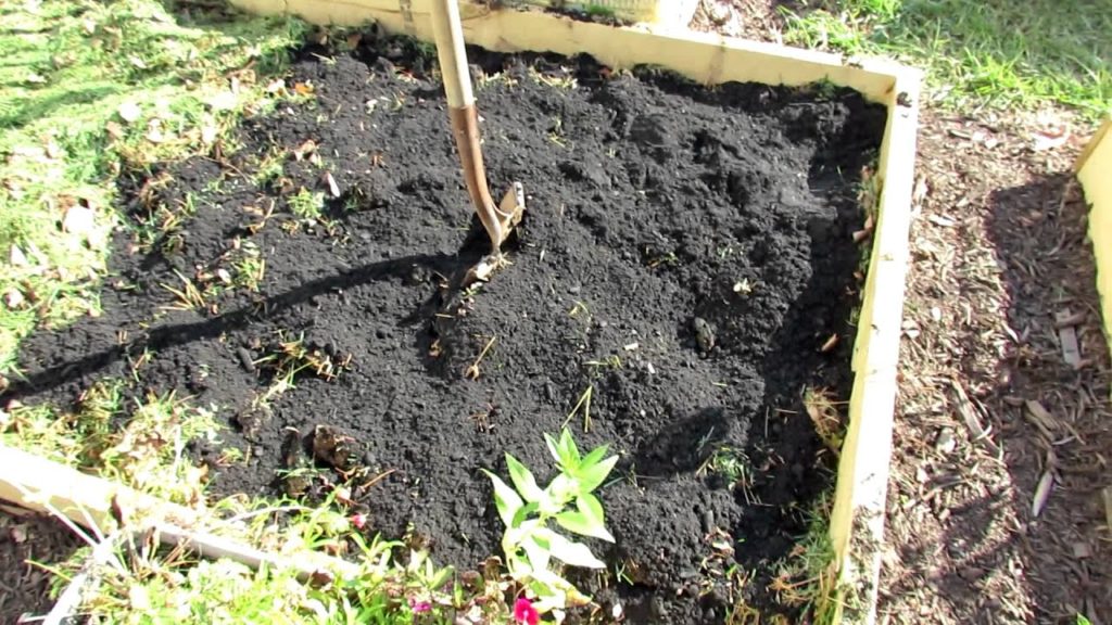 Gary Pilarchik: Winterizing and Filling Your Raised Bed: Slug Control Too! Winterizing and Filling Your Raised Bed: Slug Control Too!