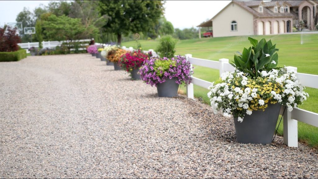 Epic Container Competition July Update! 🙌😃🌿// Garden Answer