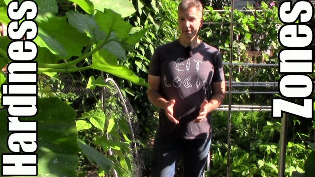 USDA Plant Hardiness Zones Explained