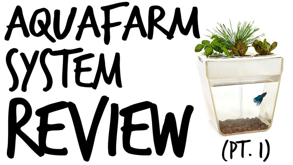 Epic Gardening: Aquafarm Review Pt. 1 Aquafarm Review Pt. 1