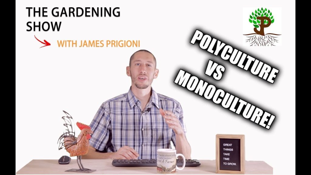 POLYCULTURE VS. MONOCULTURE