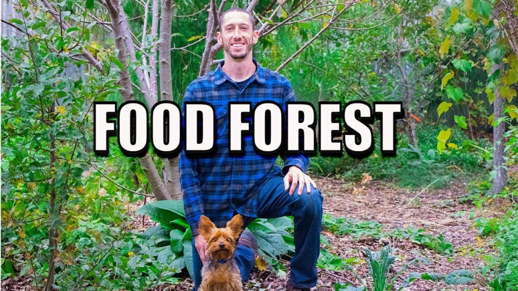 James Prigioni: Backyard Food Forest, Beyond Organic Gardening Backyard Food Forest, Beyond Organic Gardening