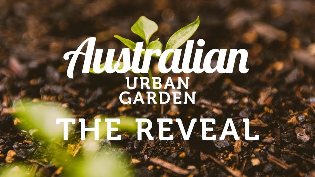 Alberta Urban Garden: Australian Urban Garden: The Reveal Australian Urban Garden: The Reveal
