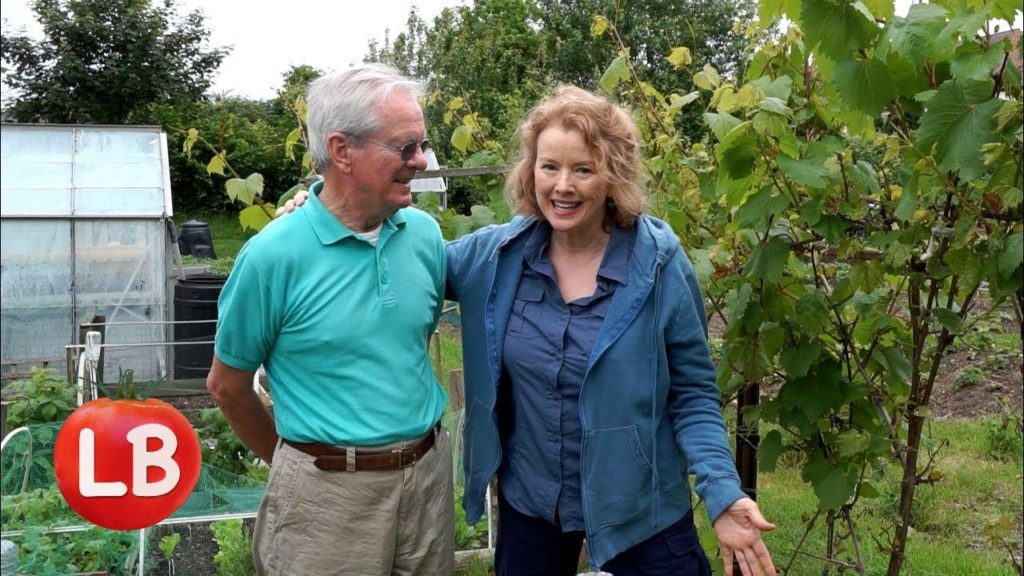 Kaye Kittrell: European Gardens | UK | Hanwell Allotments | English Tea | Travelogue European Gardens | UK | Hanwell Allotments | English Tea | Travelogue