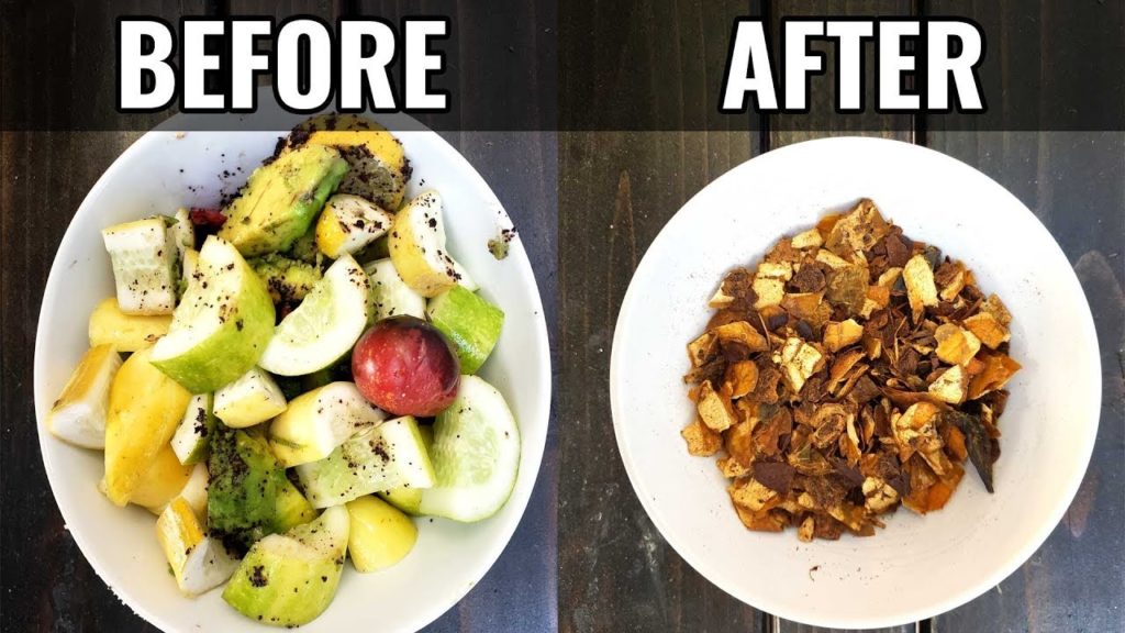 Turning Food Scraps into Fertilizer in 5 Hours?