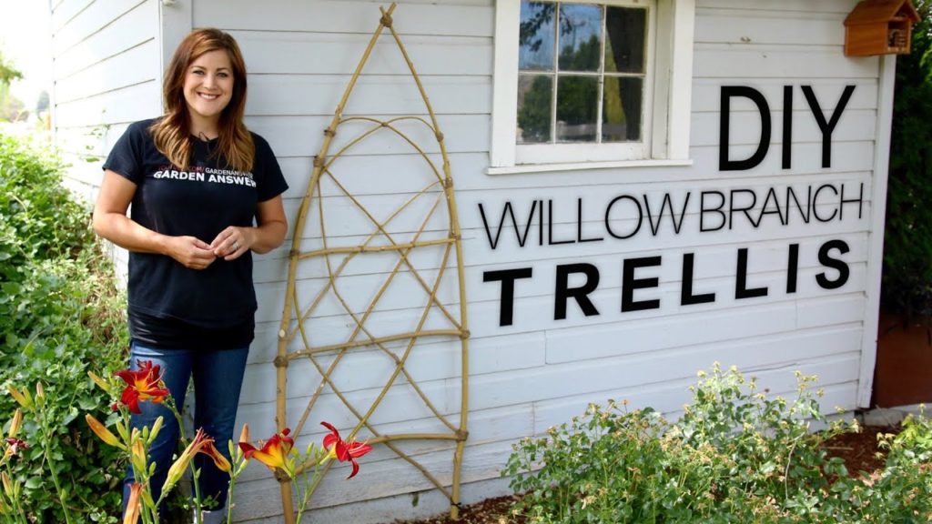 Garden Answer: DIY Willow Branch Trellis (Full Version) // Garden Answer DIY Willow Branch Trellis (Full Version) // Garden Answer