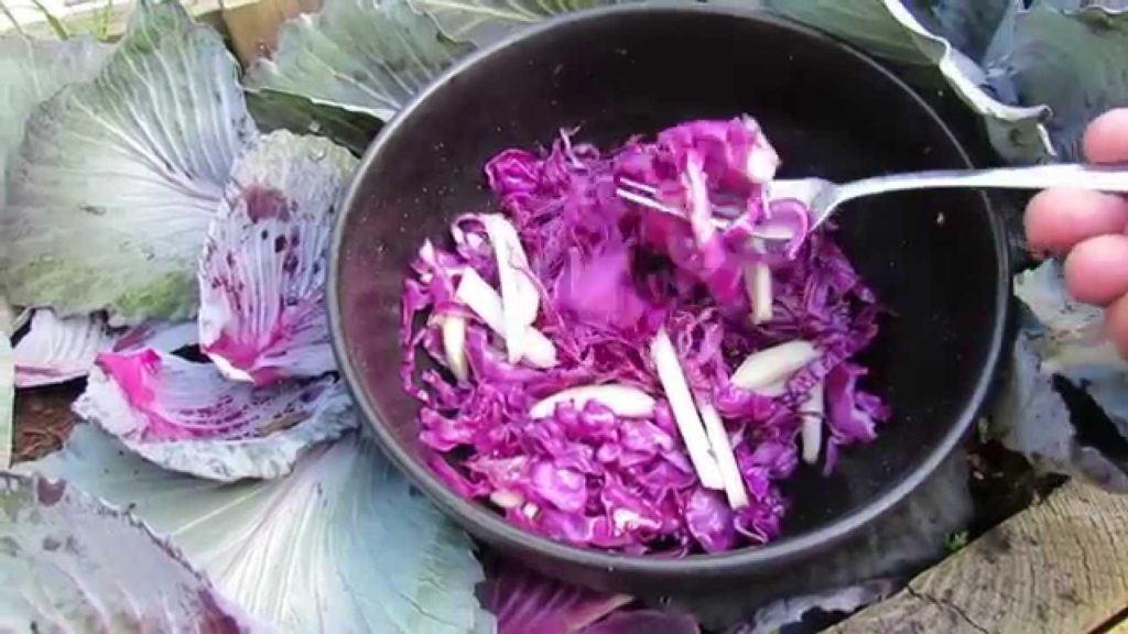 Why Have a Vegetable Garden? - Kohlrabi and Red Cabbage Coleslaw - MFG 2014