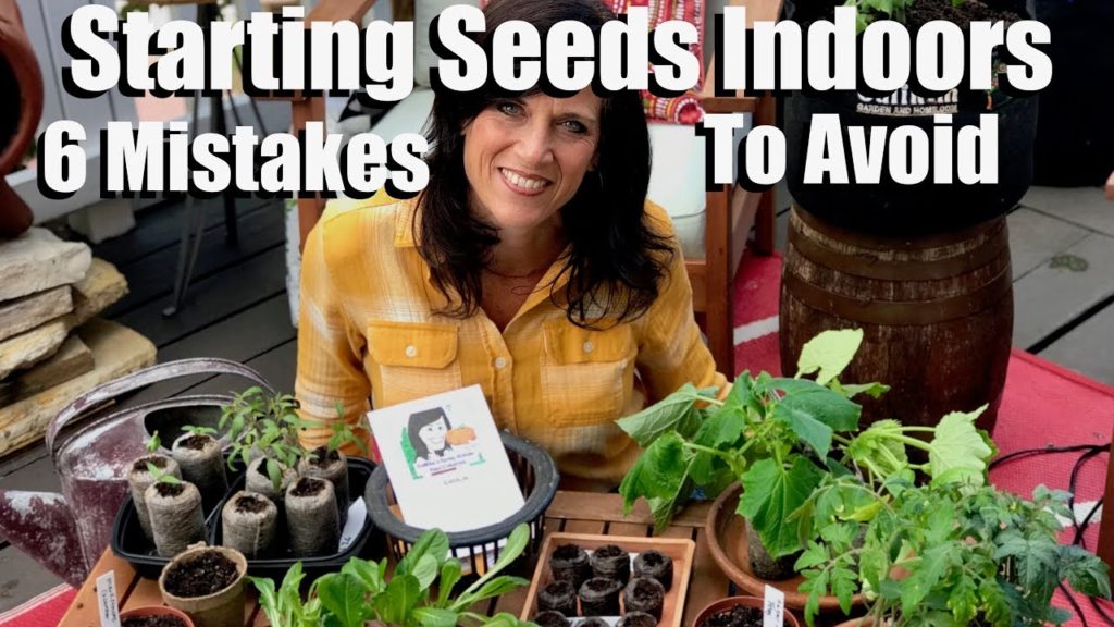 Starting Seeds Indoors for Your Spring Garden - 6 Mistakes to Avoid /  Spring Garden Series #1
