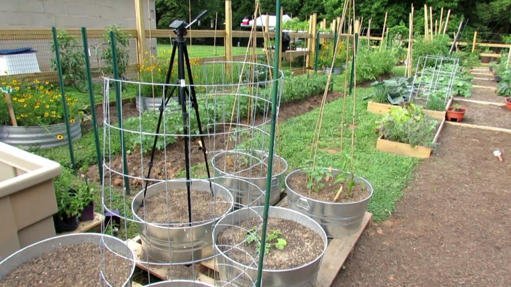 Gary Pilarchik: 10 Trellising Options for Containers & Earth Beds: Tomatoes, Cucumbers, Squash, Melons & More! 10 Trellising Options for Containers & Earth Beds: Tomatoes, Cucumbers, Squash, Melons & More!